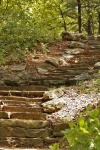 Stone Stairway In Woods