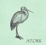 Stork Vintage Illustration