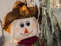 Stuffed Scarecrow