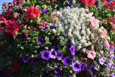 Summer Flower Bunch Basket