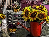 Sunflowers Display Watercolor