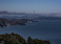 Sutro Tower In The Fog