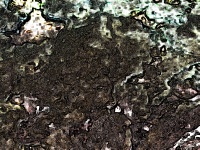 Textured Brown Terrain Background