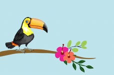 Toucan Bird Tropical Flowers
