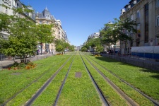 Tram On The Streets Of Reims