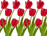 Tulips In Red