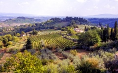 Tuscany Italy Countryside