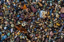 Vibrant Beach Pebbles Background