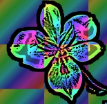 Warhol Colored Iris