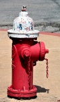 Weathered Fire Hydrant
