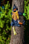Witch Collides With A Tree