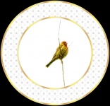 Yellow Bird Plate
