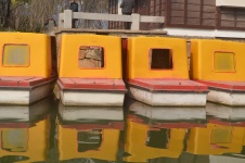 Yellow Paddle Boats