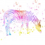Zebra Paint Splatter Colorful