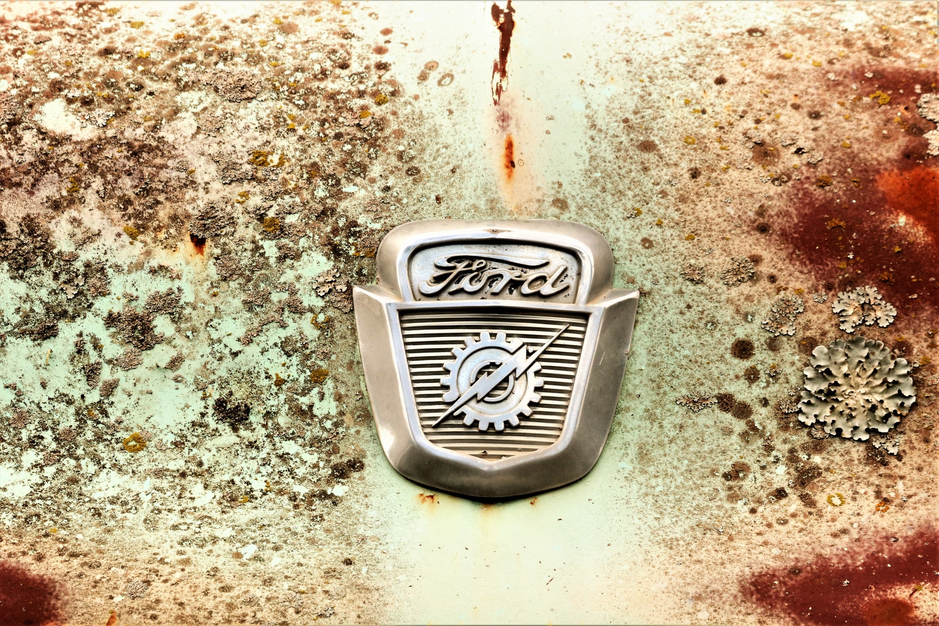 1956 Ford Truck Badge