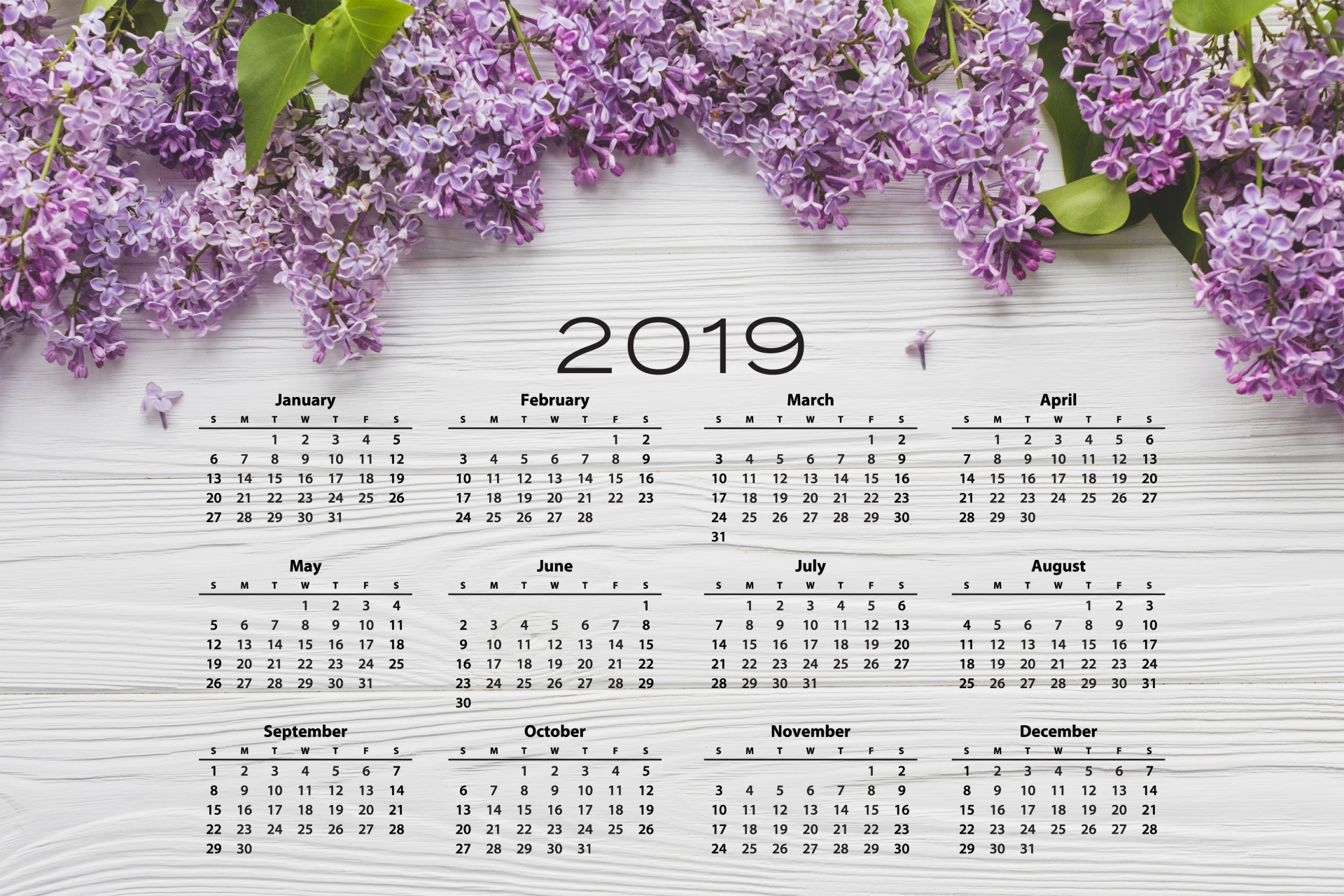 2019 Calender Lilac Flowers