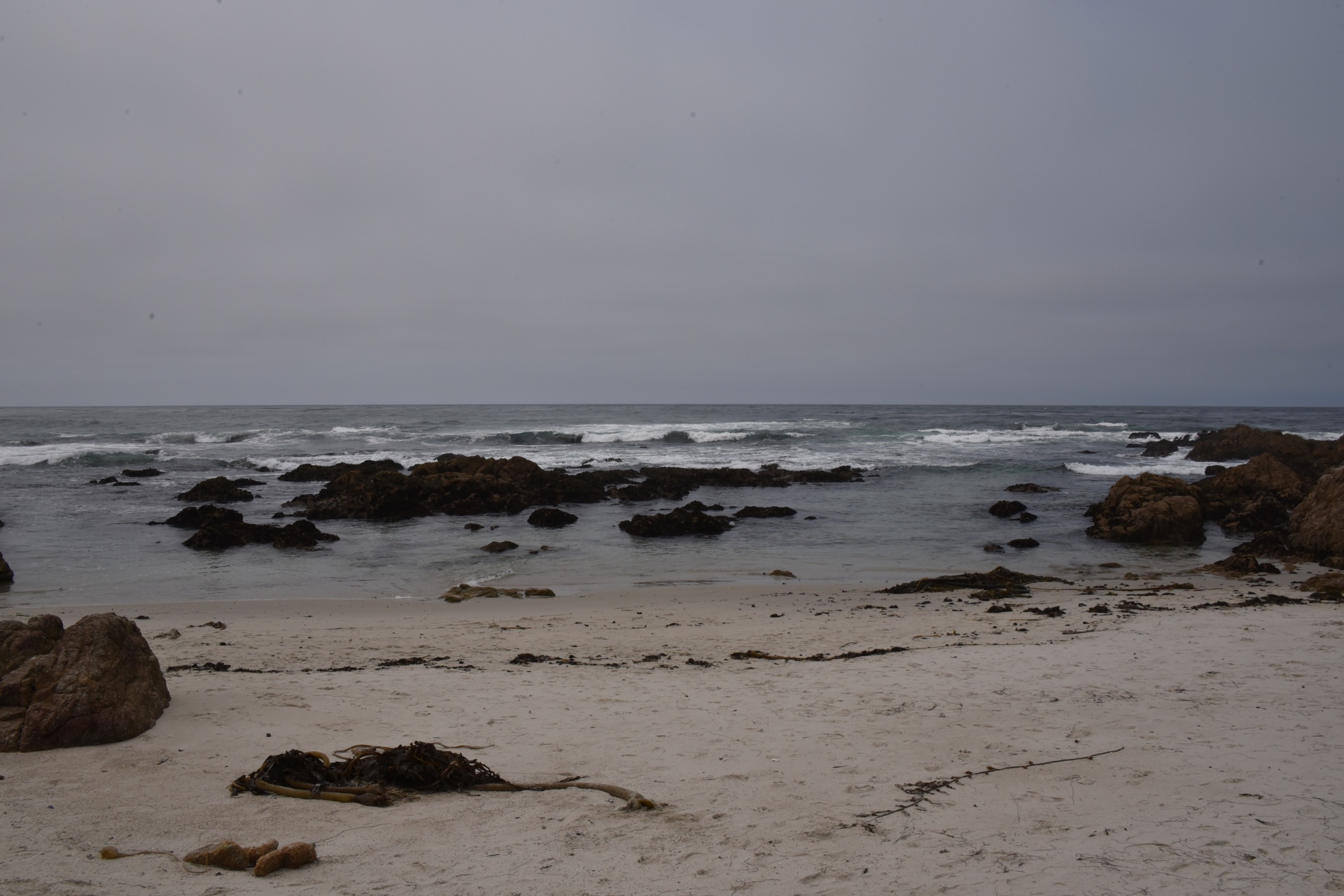 Quiet beach in Asilomar, California. Rocks scatter over the clean white sand and in the blue water. Overcast day. Free image for personal or Commercial use.