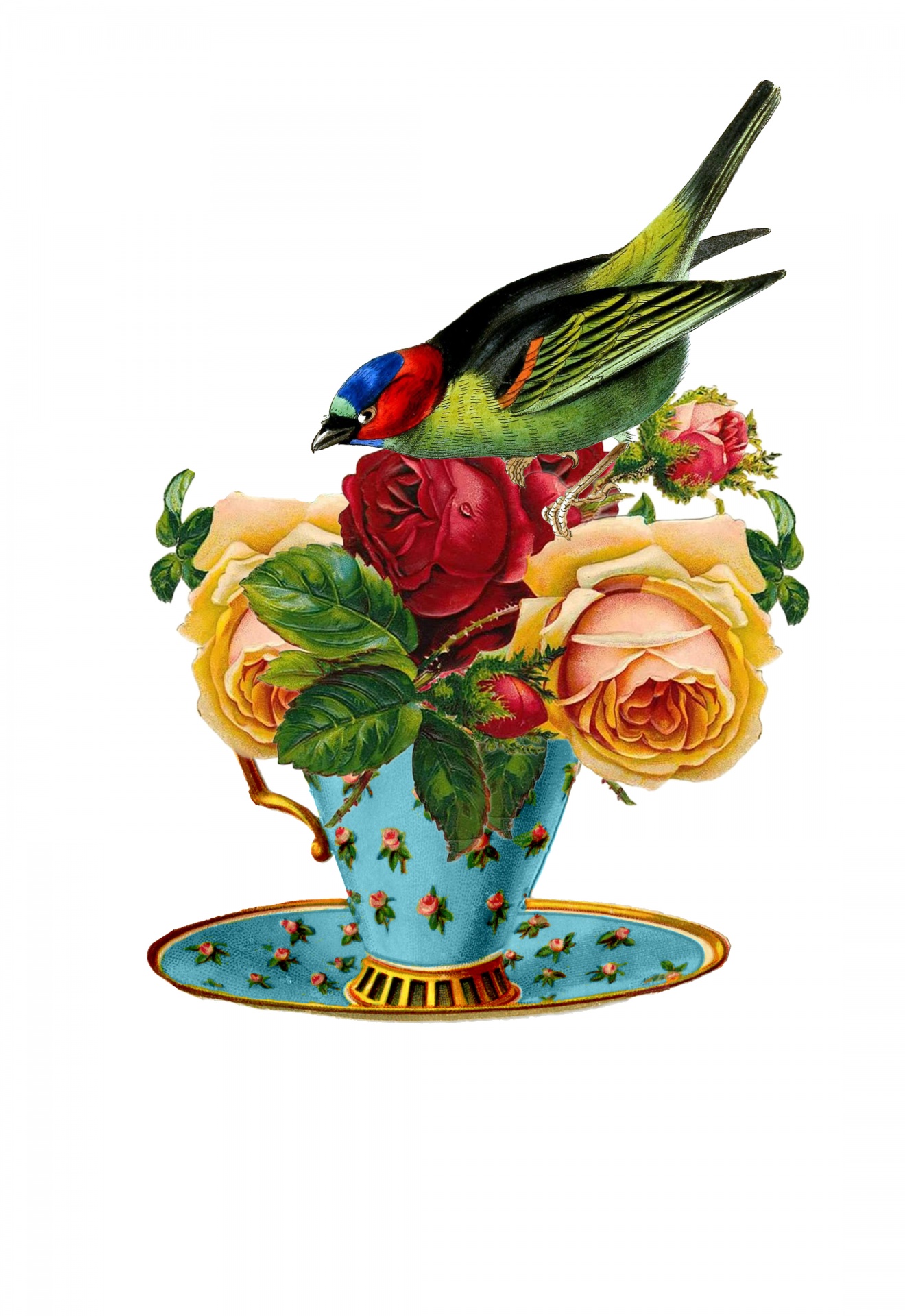 Bird, Roses Teacup Vintage