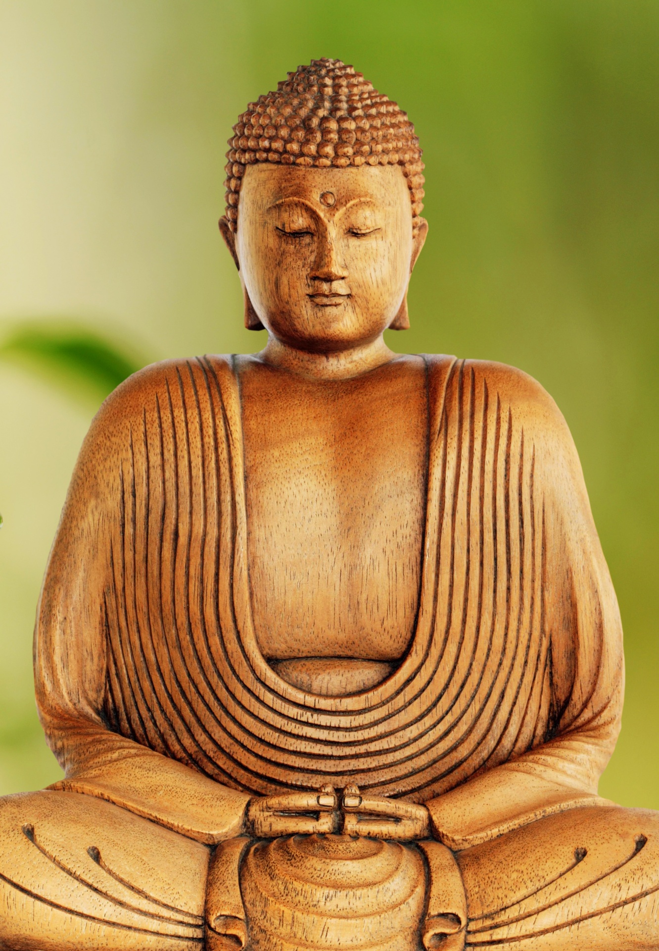 Buddha Statue Meditating