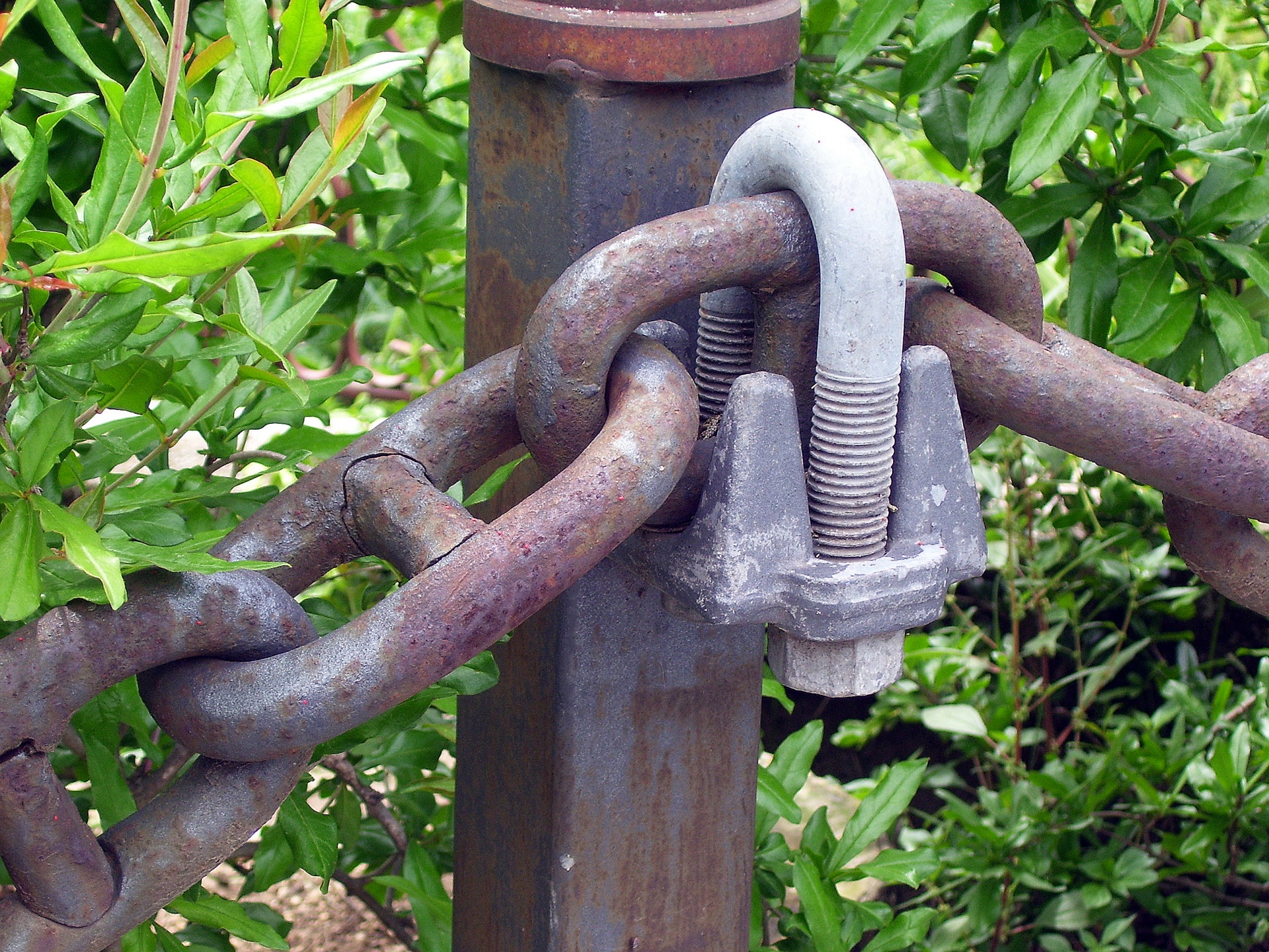 Chain With Clamp