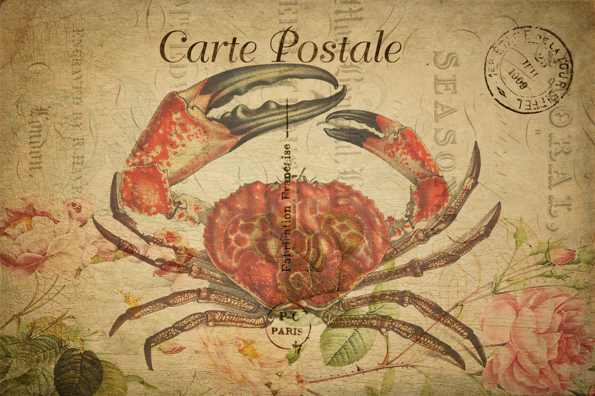 Crab Vintage Postcard