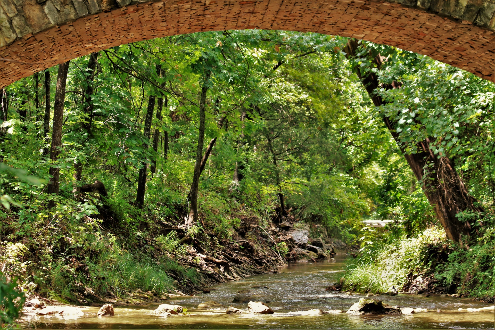 Creek Beneath Rock Bridge Arch