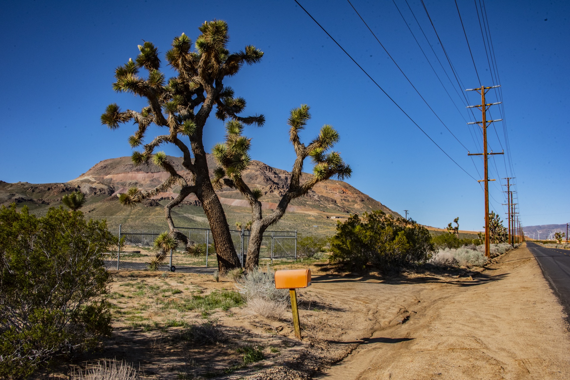 rural home mailbox in the desert
