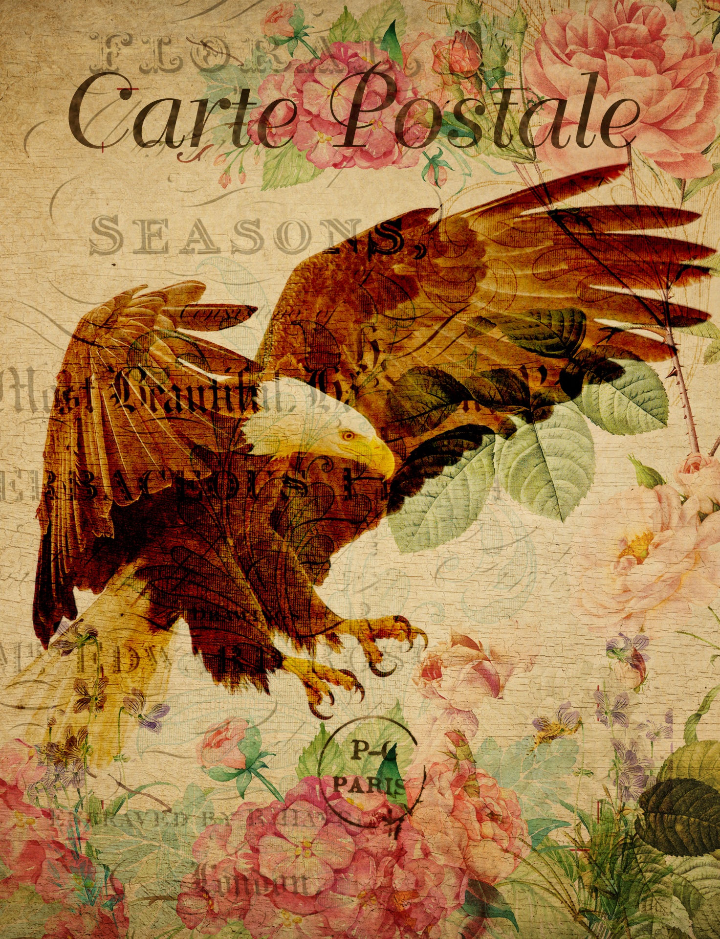 Eagle Vintage Floral Postcard