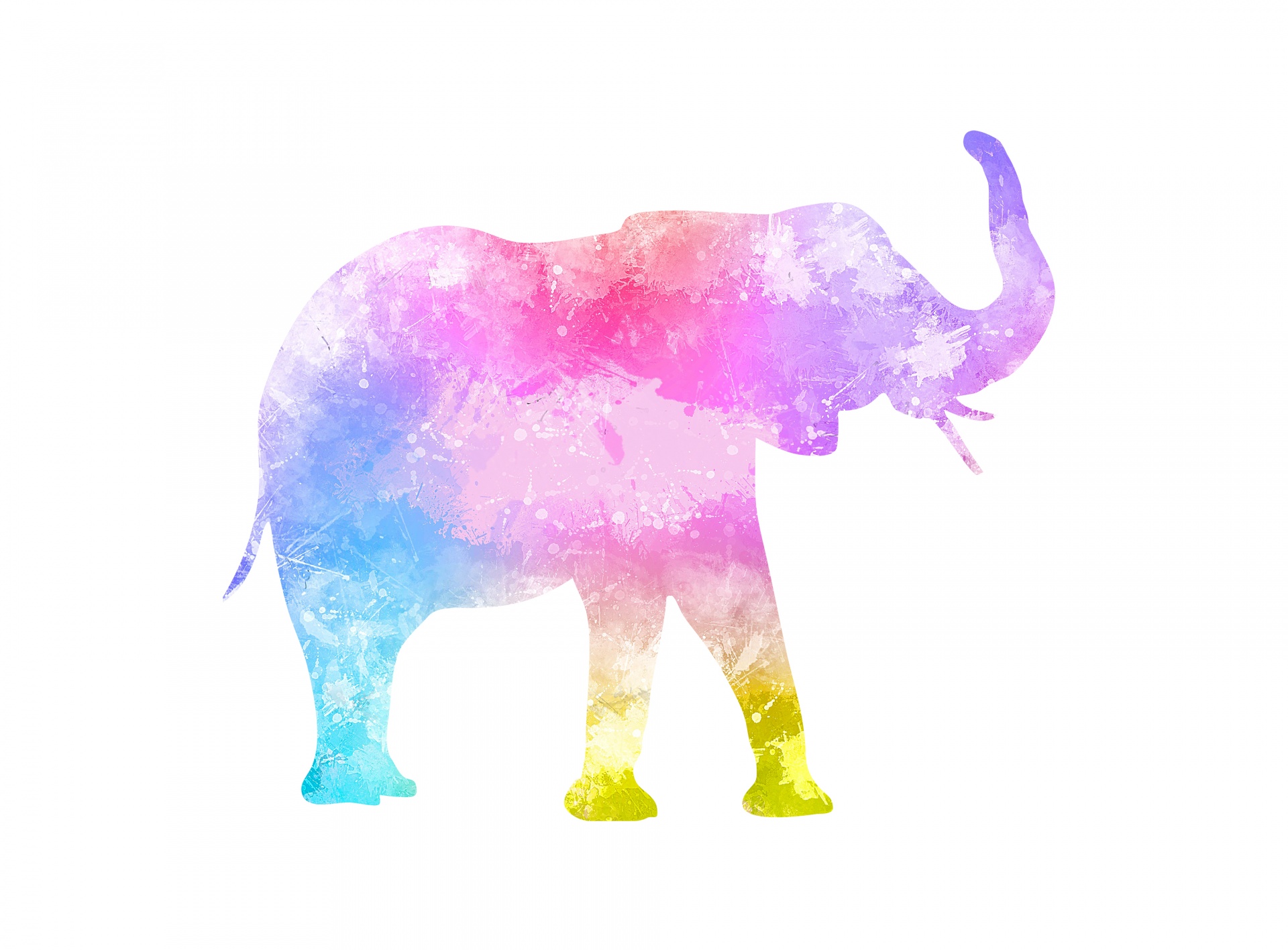 Elephant Watercolor Painting Colors