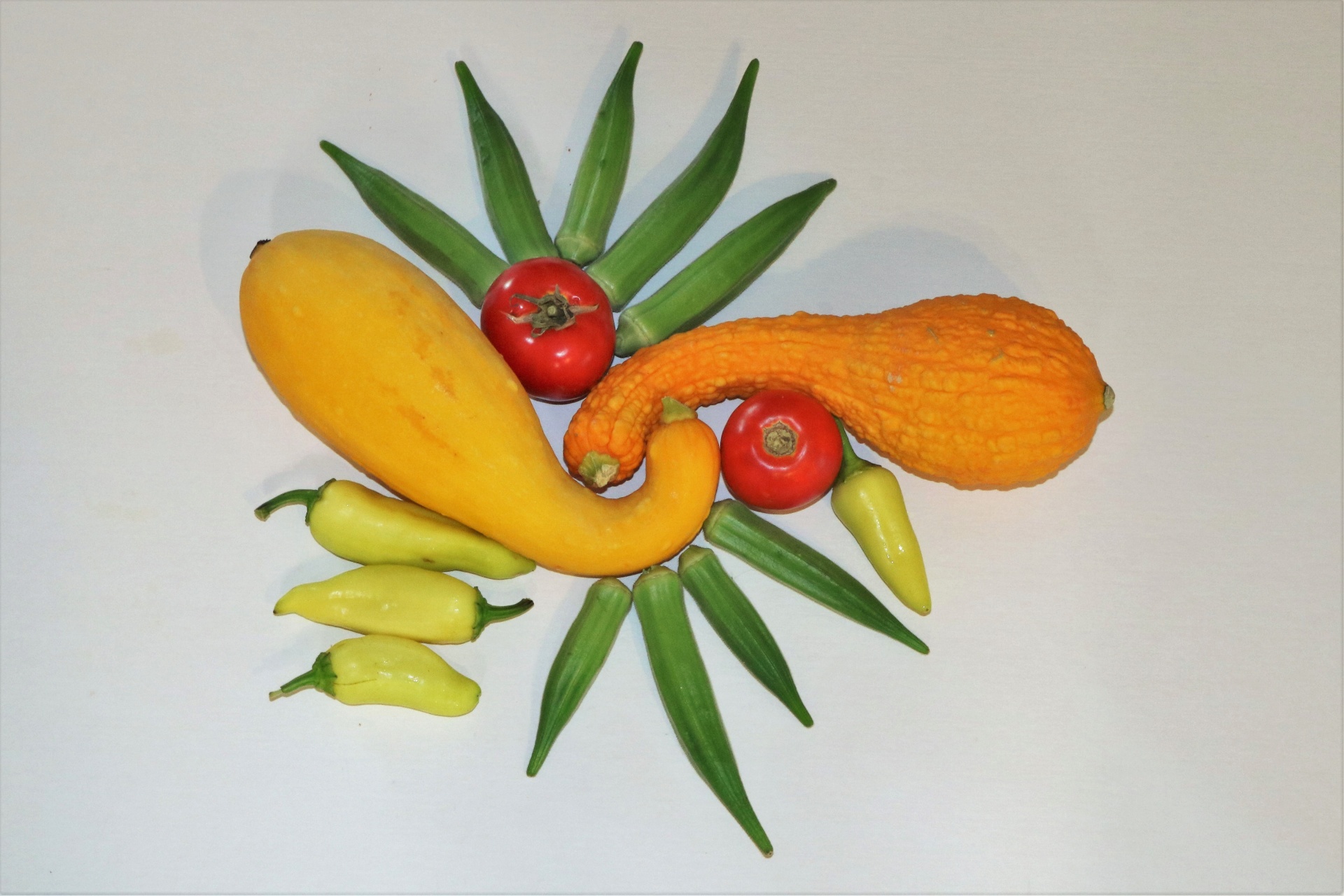 Fresh Vegetables Abstract Design