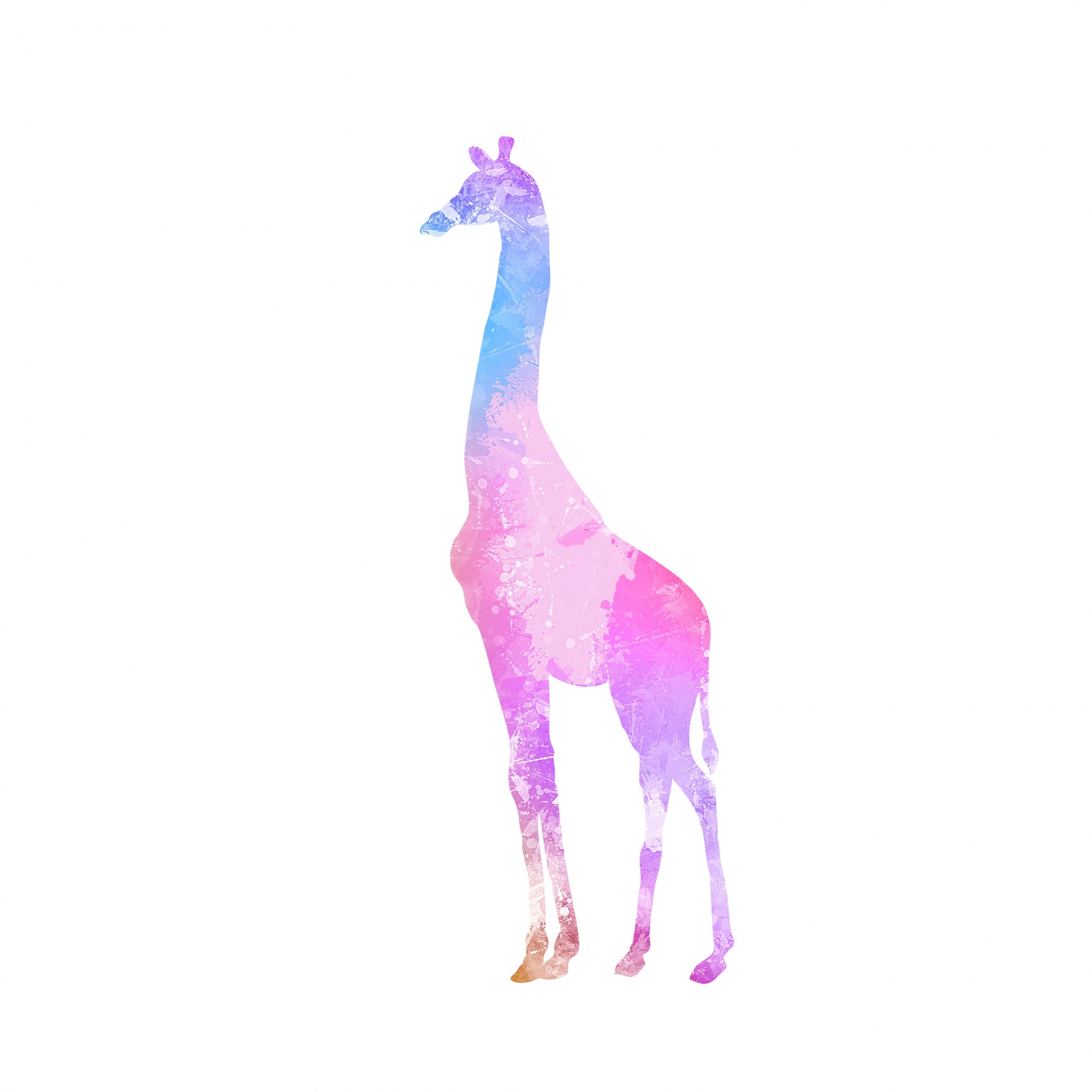Giraffe Watercolor Painting Colors