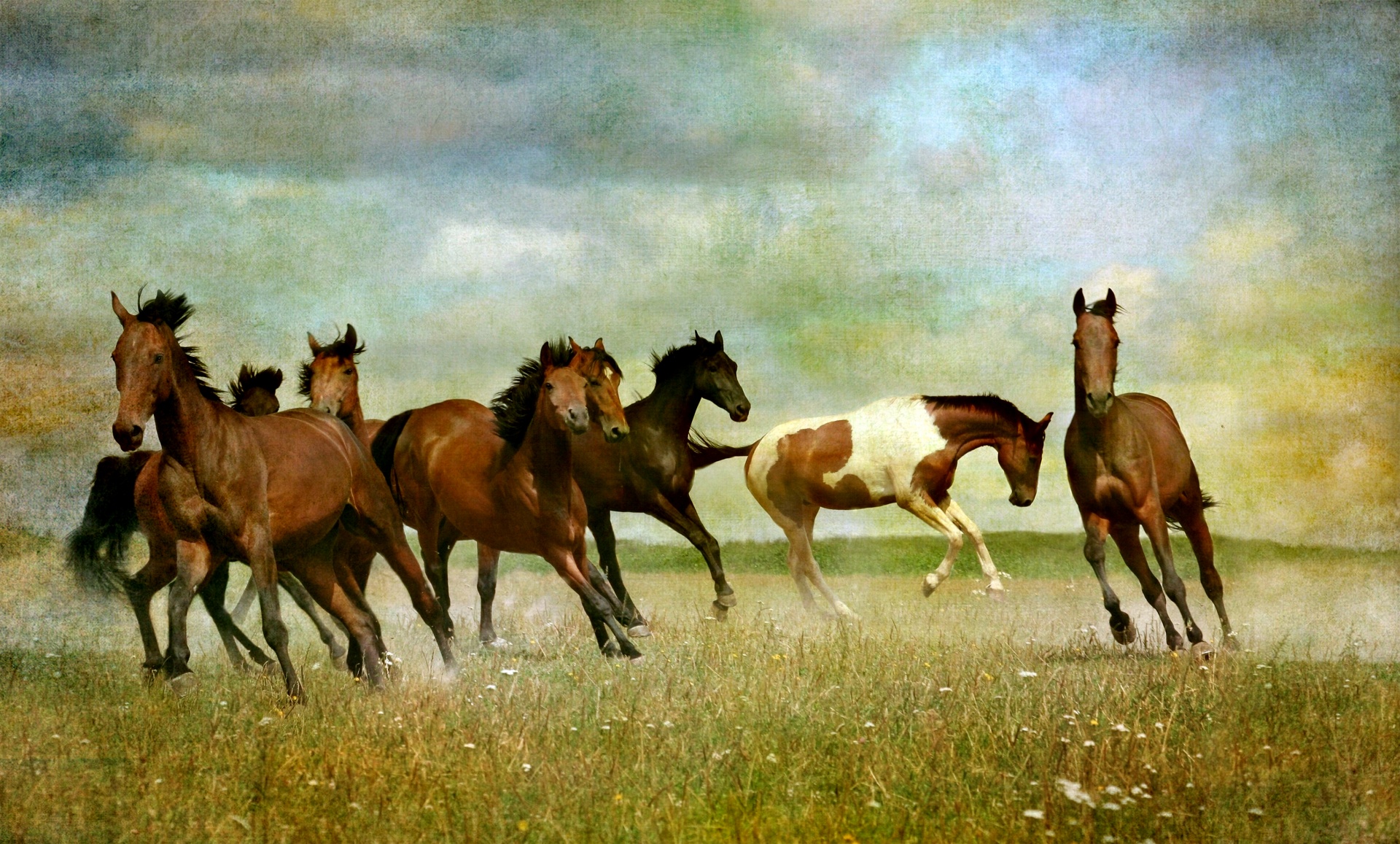 Horse Wild Vintage Painting