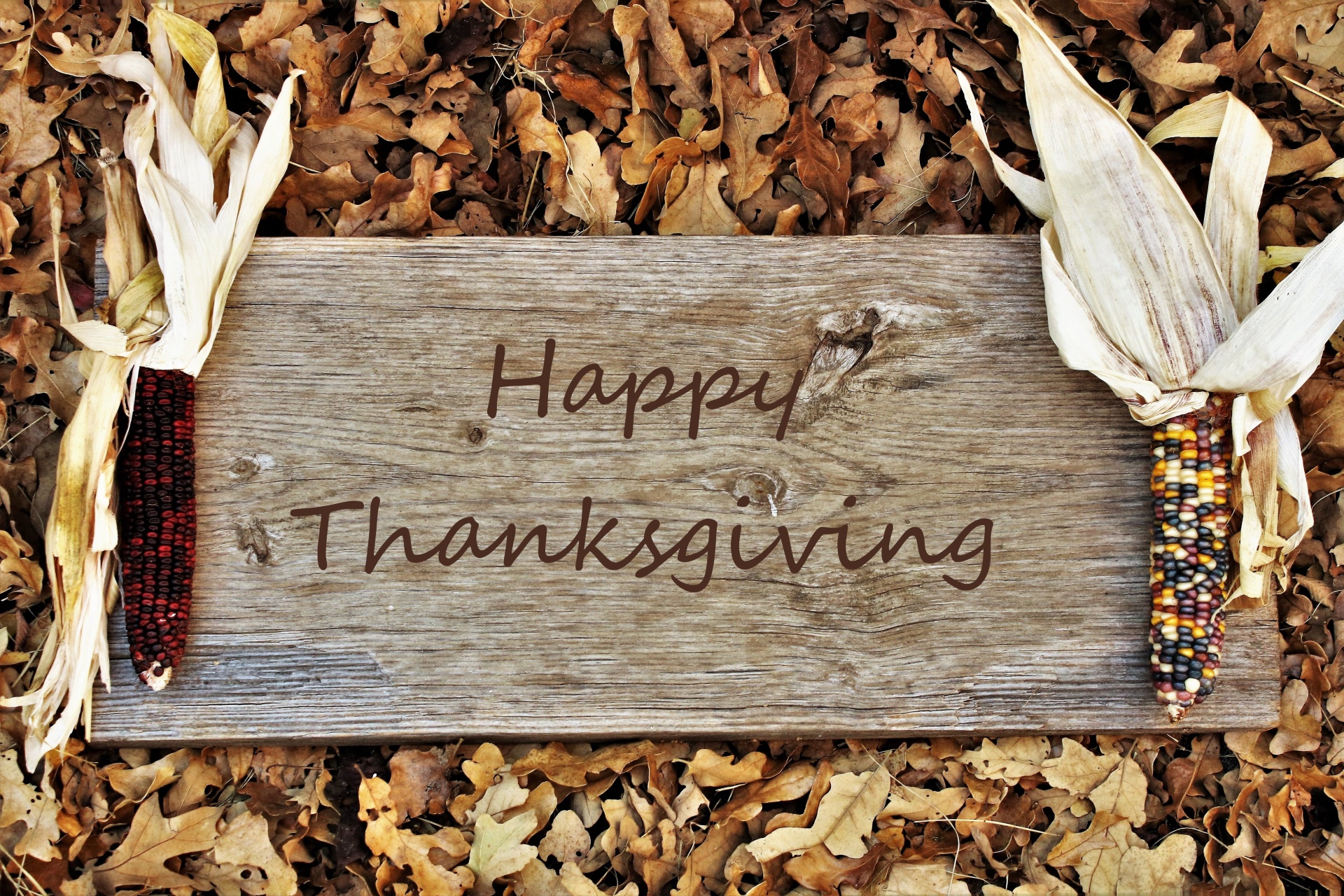 A brown wooden plank lies in autumn leaves with Indian corn on both sides, creating a border for text, Happy Thanksgiving.