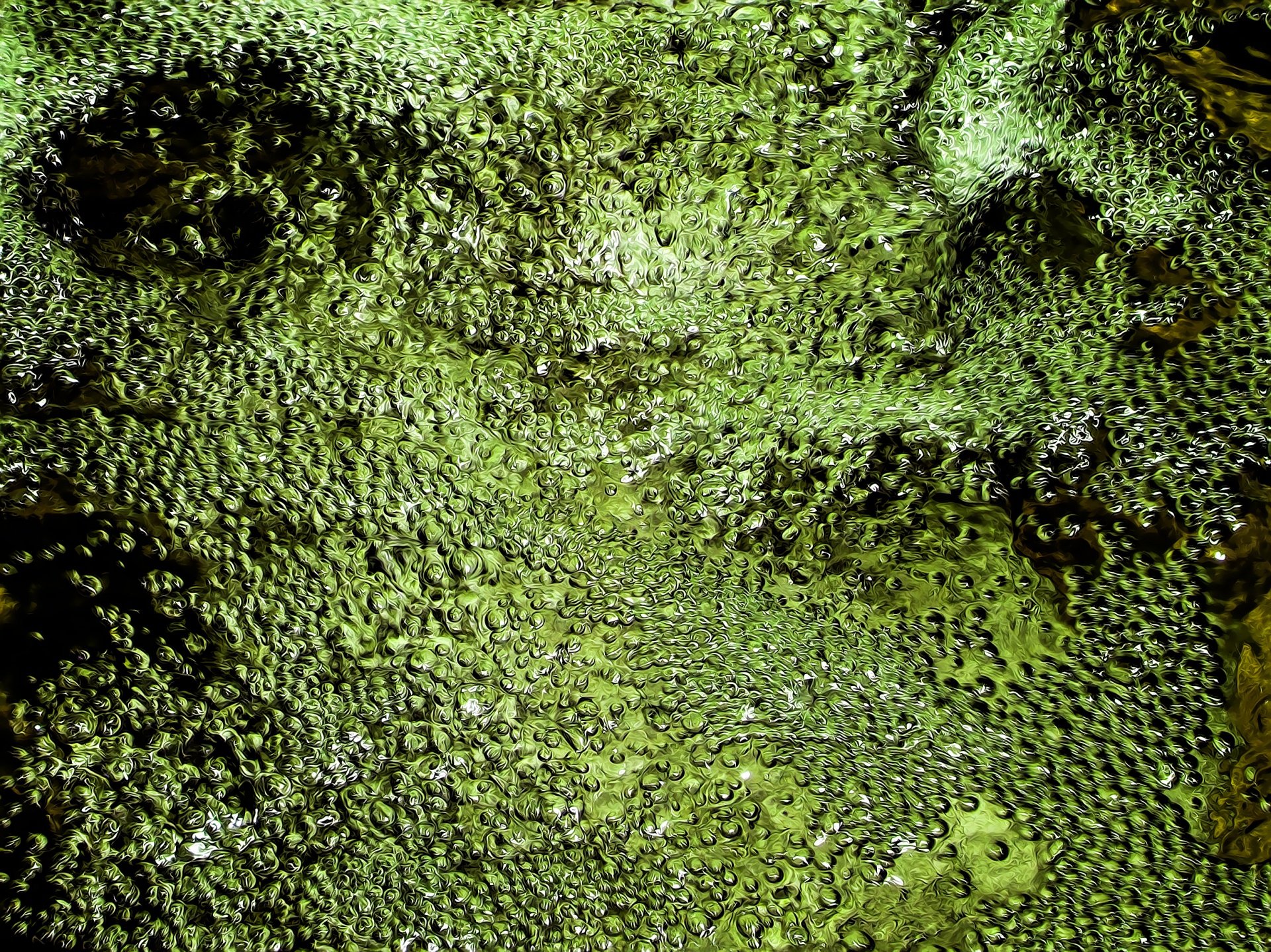 Liquid Green Background