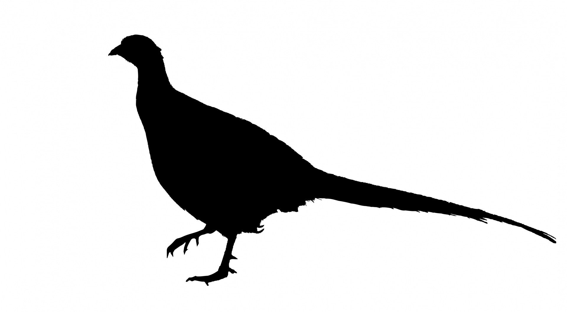 Pheasant Silhouette Clipart