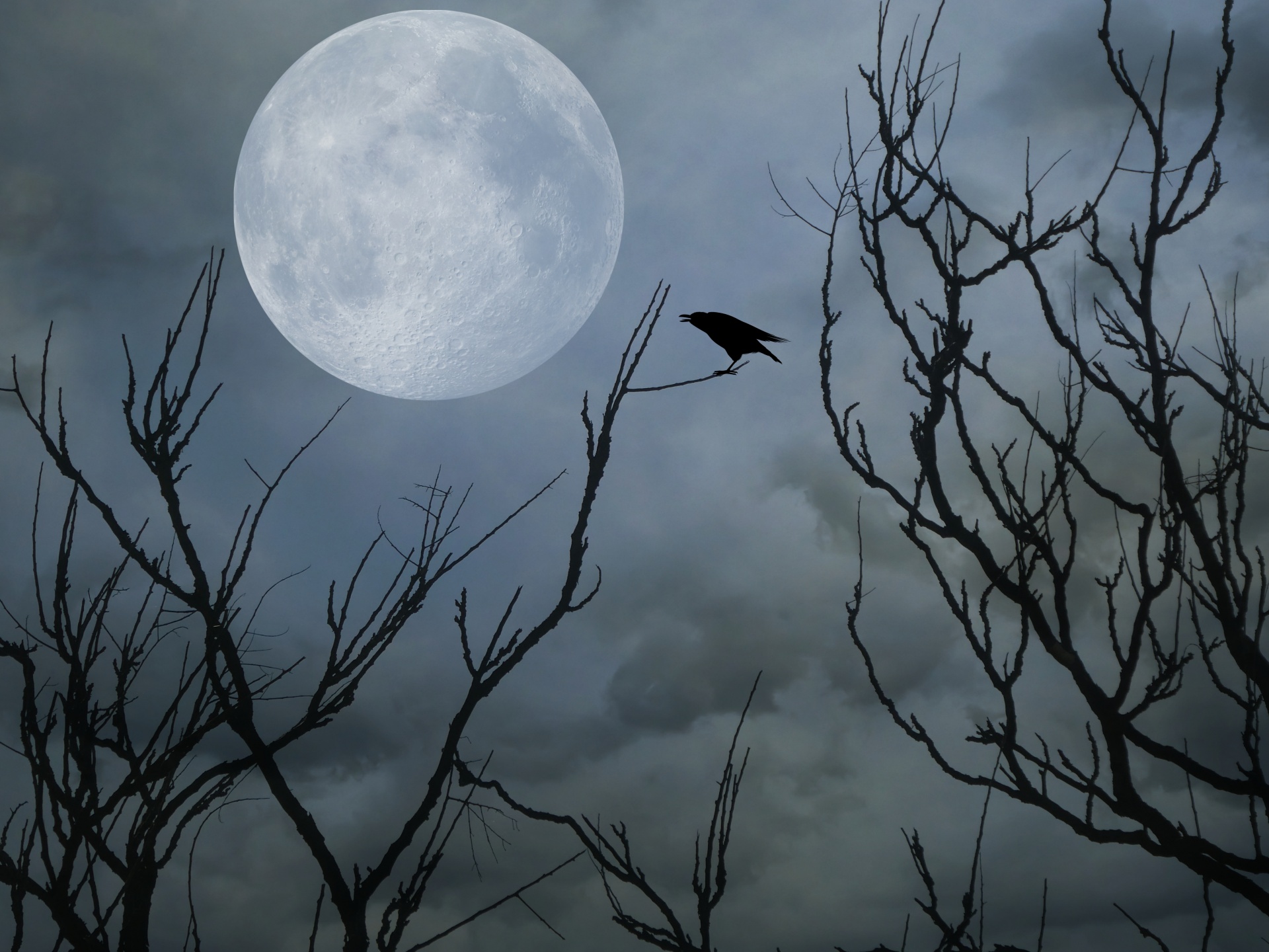 Raven And The Full Moon