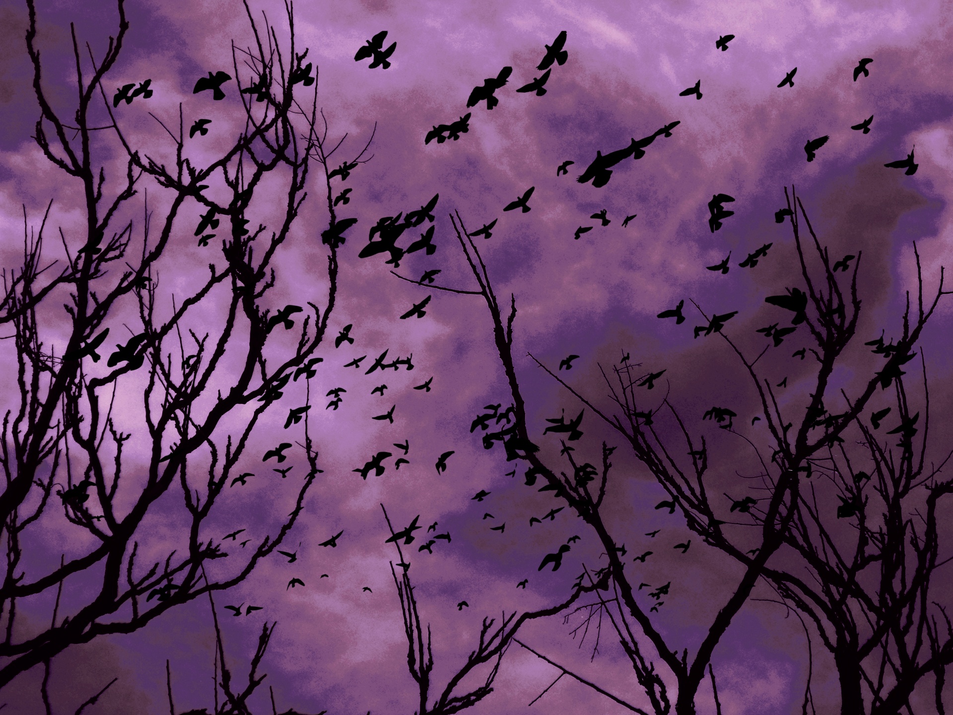 Ravens In Flight Purple