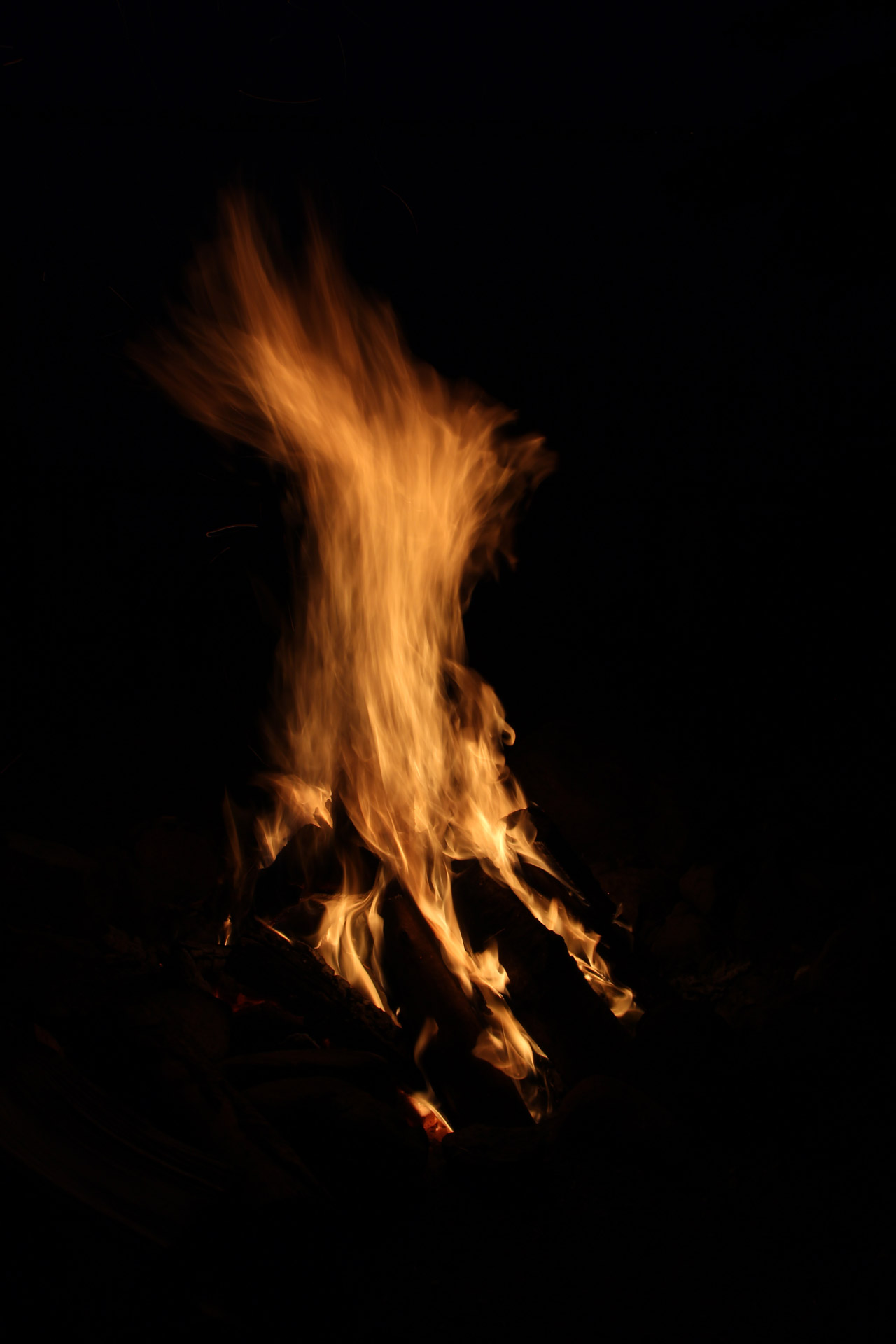 Roaring Wood Camp Fire