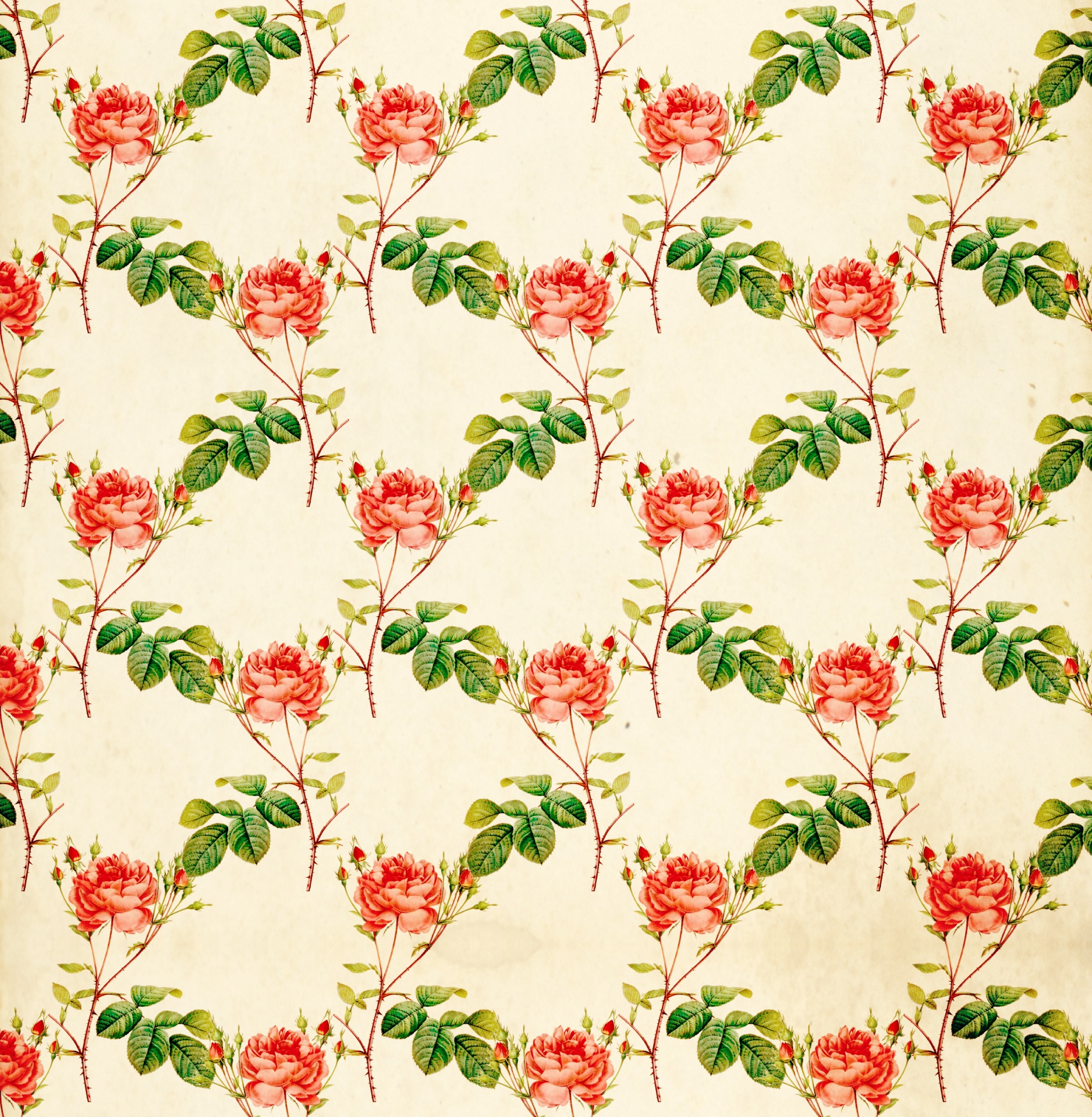 Roses Vintage Floral Wallpaper