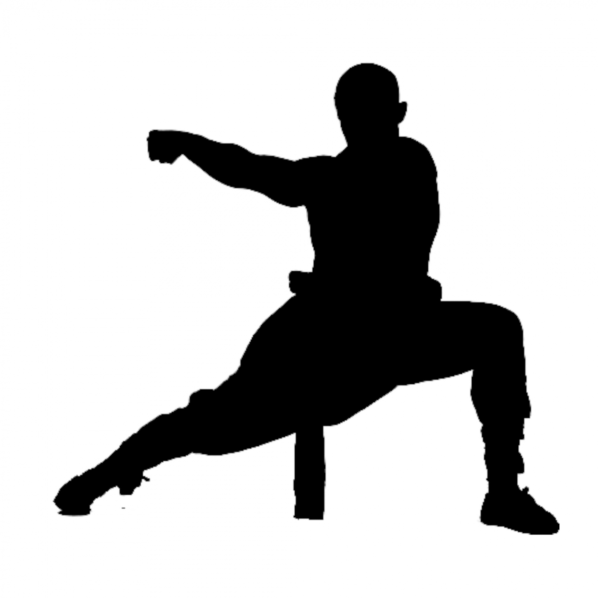 Silhouette, Kung Fu, Wushu, Shaolin