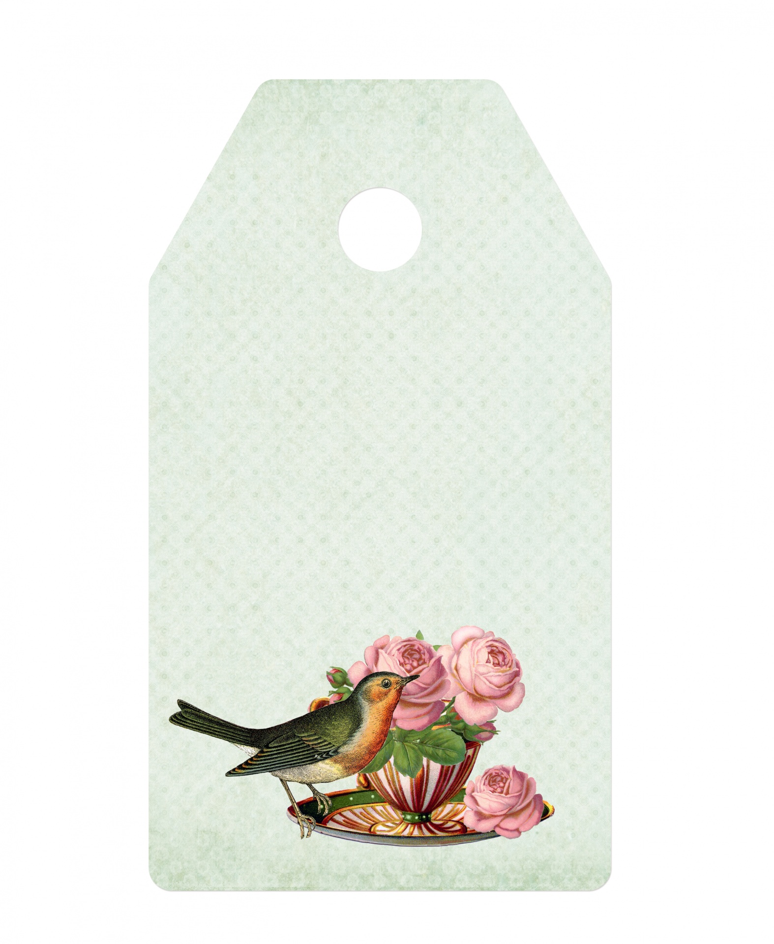 Teacup, Flowers, Bird Vintage