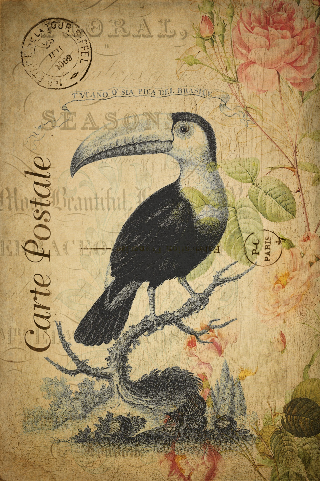 Toucan Vintage Floral Postcard