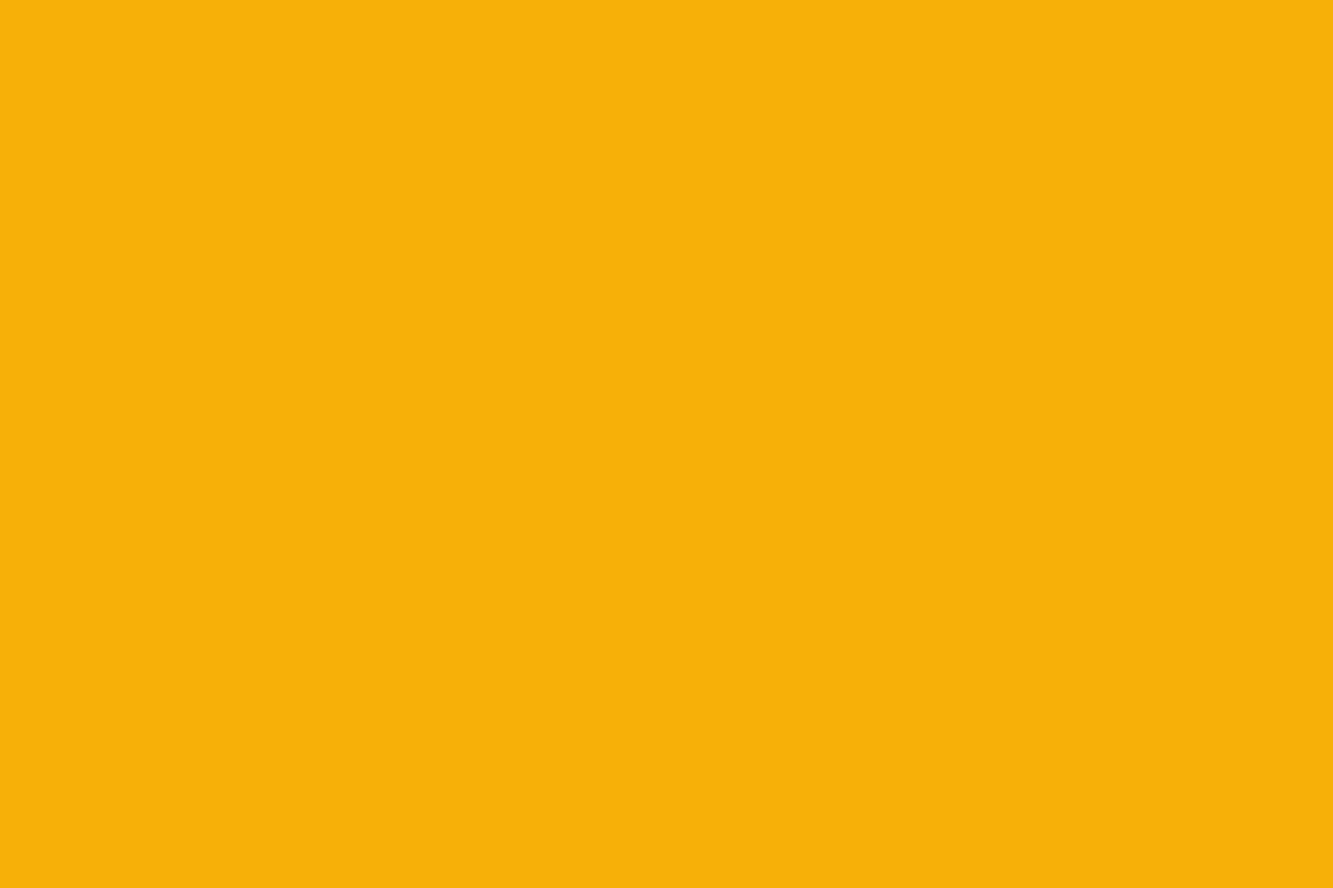 Warm Yellow Colour