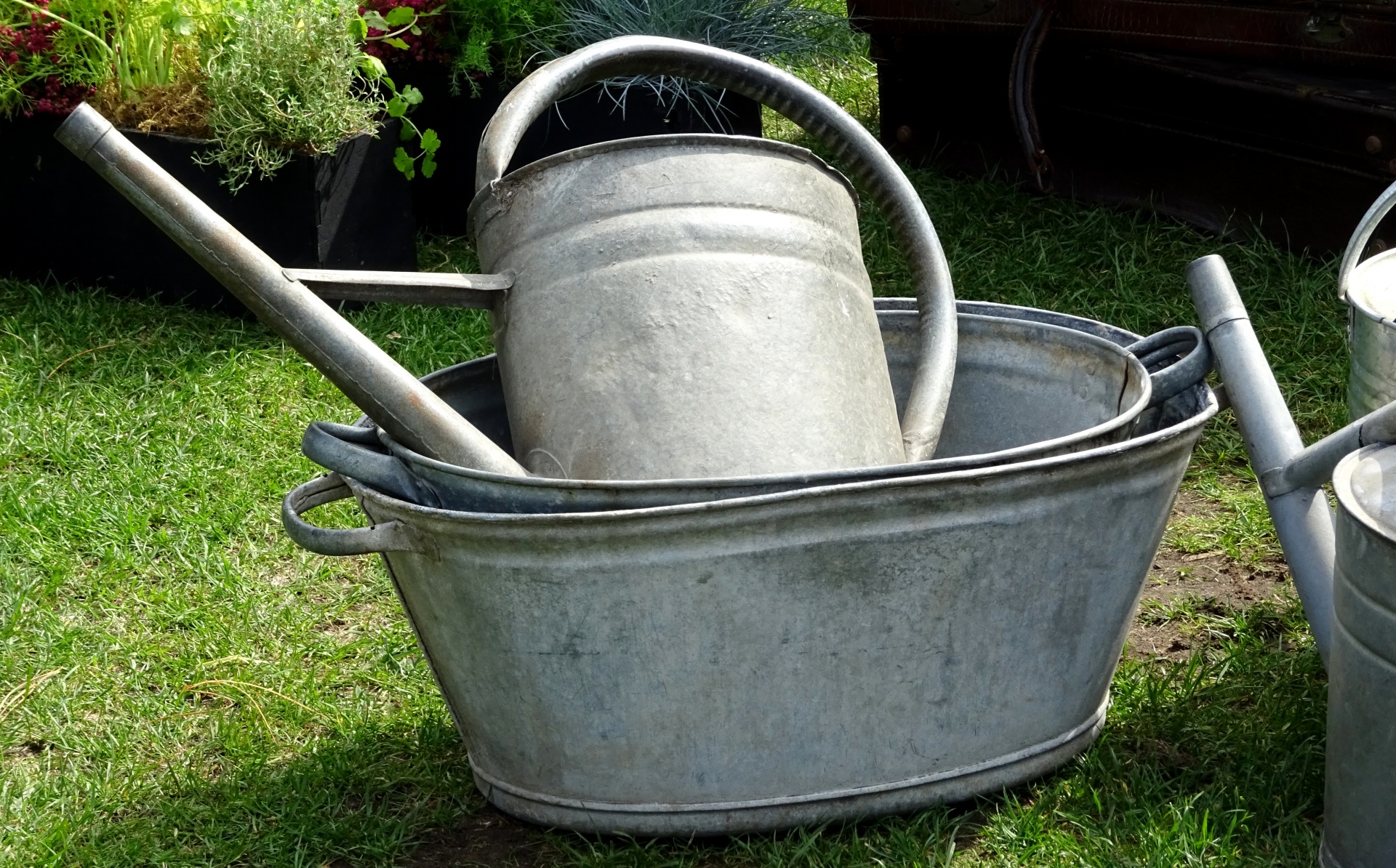 Watering Cans And Buckets