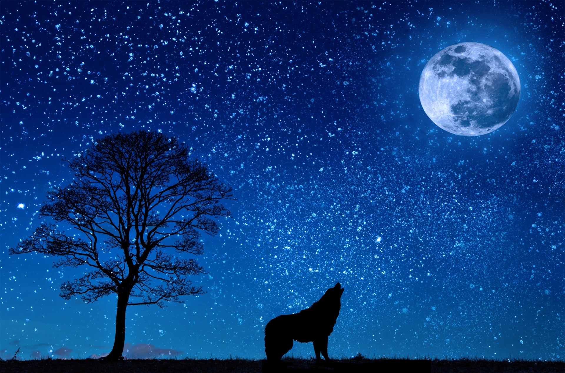 Wolf Howling Moon Silhouette