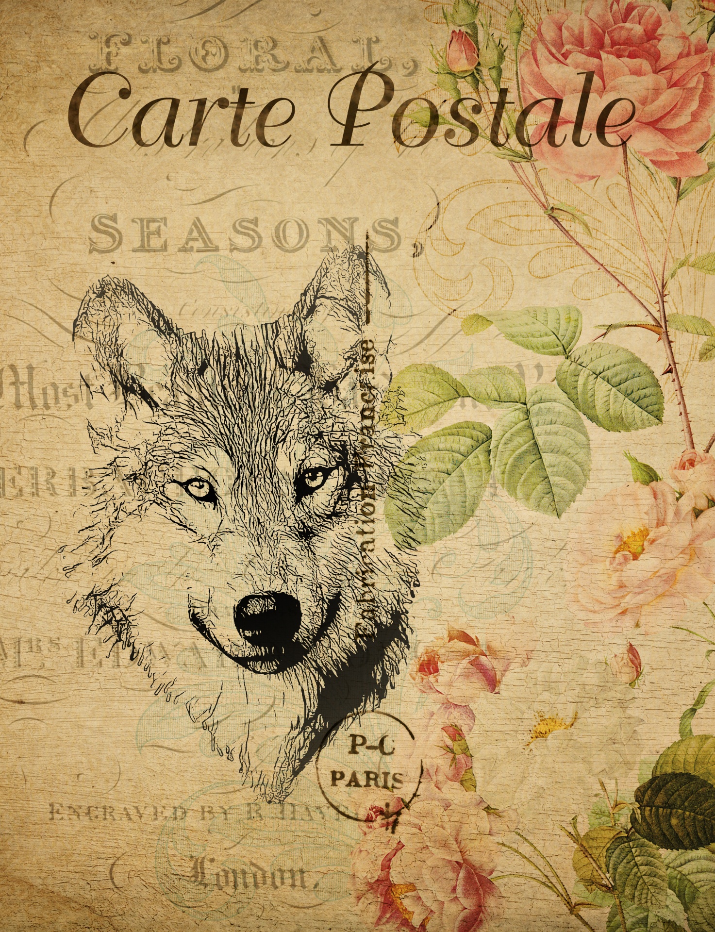Wolf illustration on vintage floral french postcard
