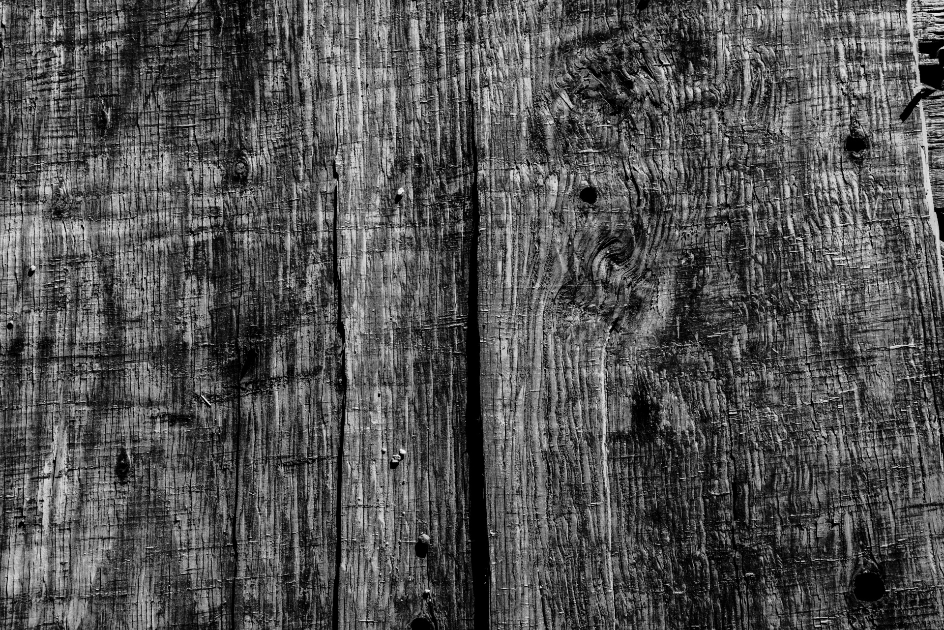 Wood Texture, Black White