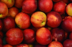 Apples Background