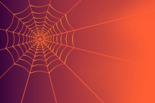 Autumn, Background, Spiders Web