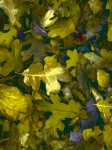 Autumn Leaves Background Vertical